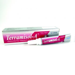 Terramisol-A Ungto Oftálmica - Tubo 6 G