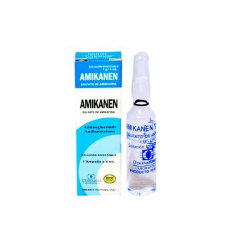 Amikanen 1G/4ML - Ampolla 1 UN