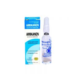 Amikanen 1G/4ML - Ampolla 1 UN